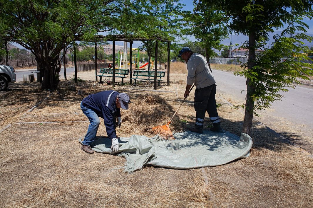 FORESTAL
