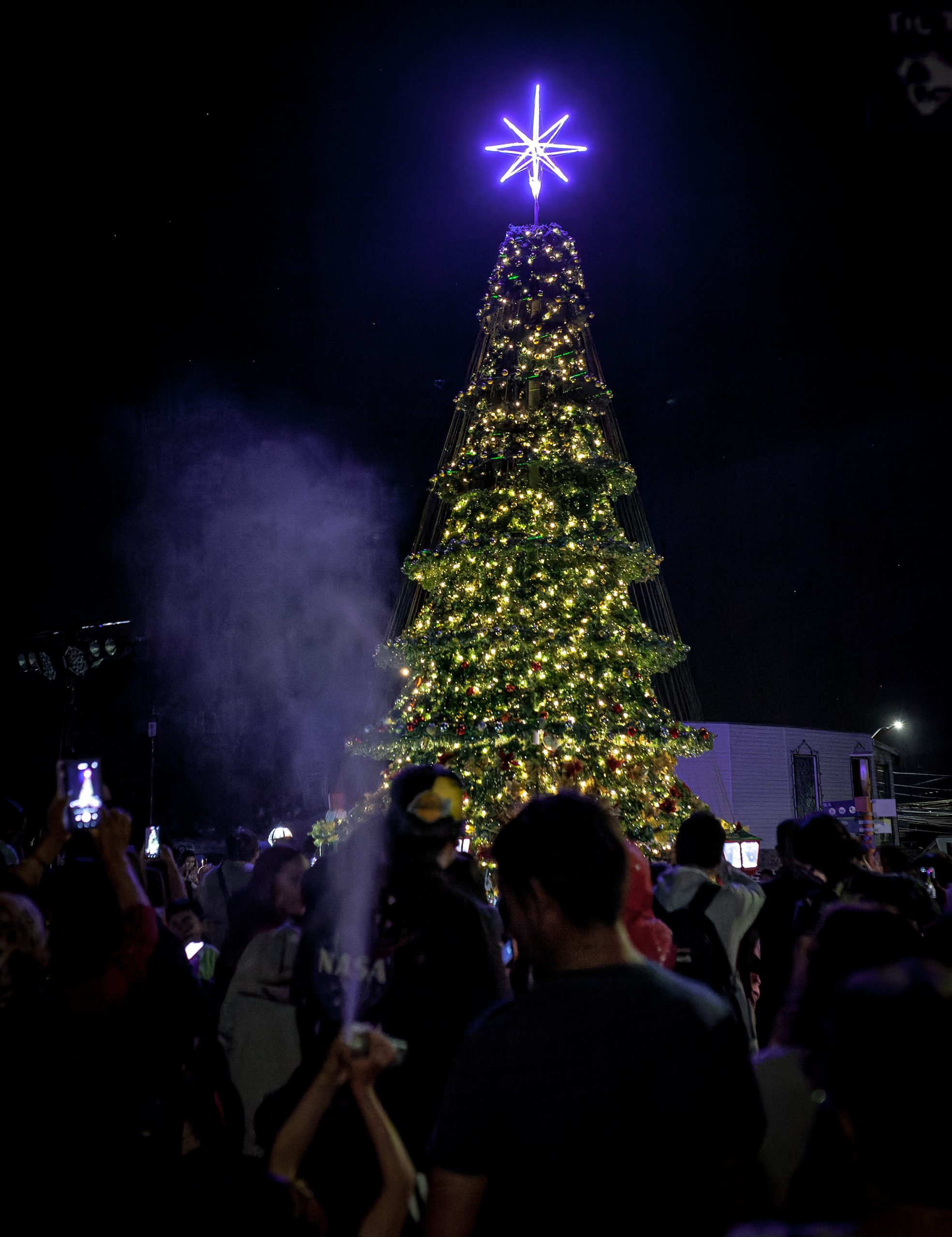 IMG_1912-CR2_DxO_DeepPRIME